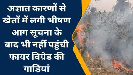 अमेठी: अज्ञात कारणों से खेतों में लगी आग, सूचना पर नहीं पहुंची फायर बिग्रेड की टीम