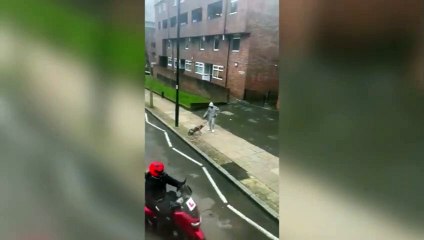 Watch the shocking moment of a man kicking a dog on a north London street.