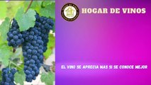 Descubre todo sobre la uva Cabernet Franc y sus vinos tintos de alta calidad