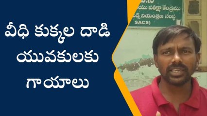 పినపాక: వీధి కుక్కల దాడిలో ముగ్గురికి గాయాలు