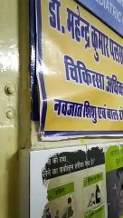 चिकित्सक की कुर्सी पर जा बैठा श्वान