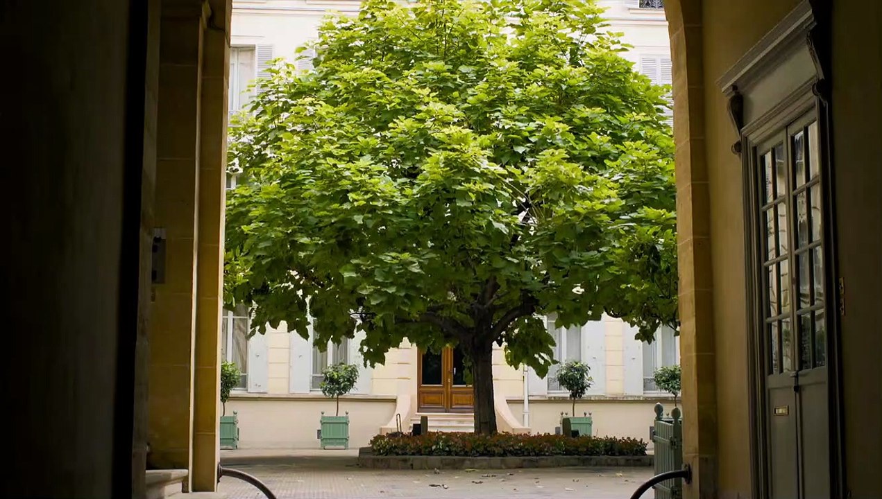 Jackie The Wolf Trailer OmdU