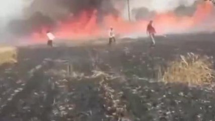 सीधी: किसान के खेत व जंगल में लगी भीषण आग से हजारों का हुआ नुकसान
