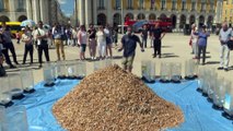 Ativistas ambientais juntam 650 mil beatas de cigarros em Lisboa