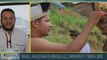 Indígenas brasileños inauguran campamento Tierra Libre