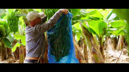 VIDEO PROMOCIONAL FIC GALDAR 2023