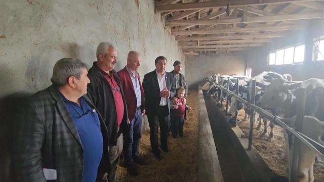 CHP Edirne Milletvekili Gaytancıoğlu: Destekleme Yapmazsanız Süt Hayvanları Eti İçin Kesilir