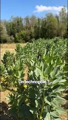 À 91 ans, il est menacé d'expulsion à cause d'un projet de technopôle