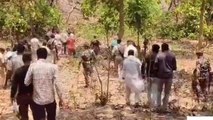 जमुई: सिमराढाब जंगल में पत्थर से कुचकर दो युवकों निर्मम हत्या, जांच में जुटी पुलिस