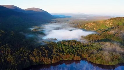 Wild Isles Tráiler VO