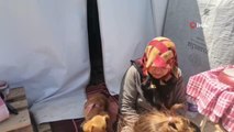 Depremde kendisini kurtaran köpeğiyle beraber çadır kentte yaşamını sürdürüyor