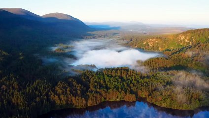 Wild Isles Trailer OV