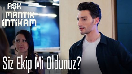 Esra ve Çınar ekip oluyor - Aşk Mantık İntikam