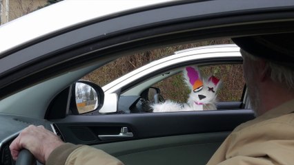 BÜGEE episode 2 "BÜGEE BORROWS THE CAR"