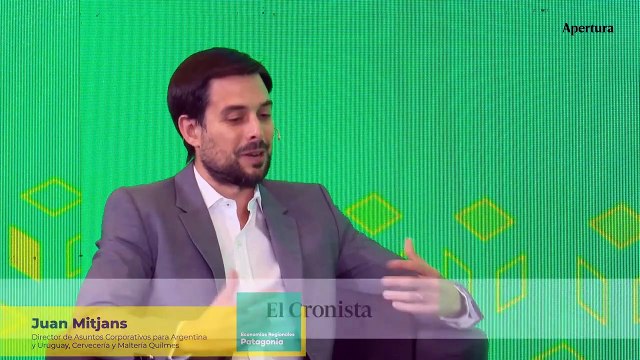 Economías Regionales Patagonia_panel 6_Mitjans