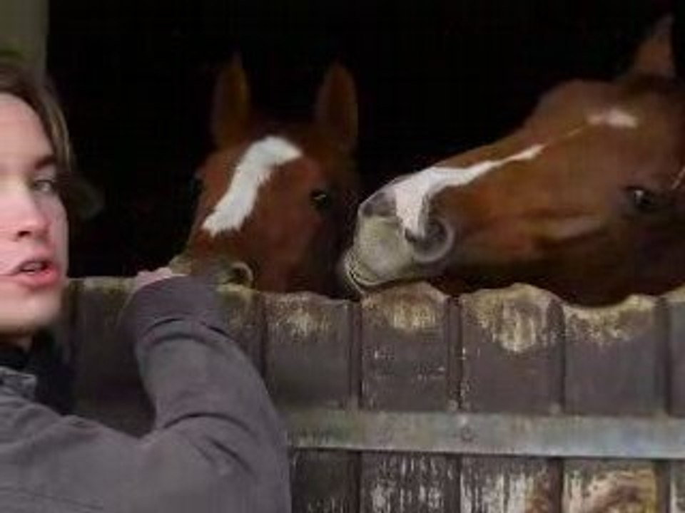 CHEVAAAAL!!!