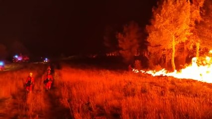 Download Video: Solo 1 de cada 4 incendios forestales es intencionado, detrás de la mayoría de siniestros hay una negligencia