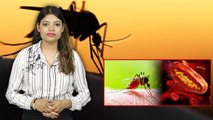 Malaria Brain Malaria  में क्या है Difference | मलेरिया से कैसे करें बचाव | Boldsky