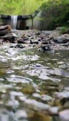 Im Gänsemarsch durch Schwaz III