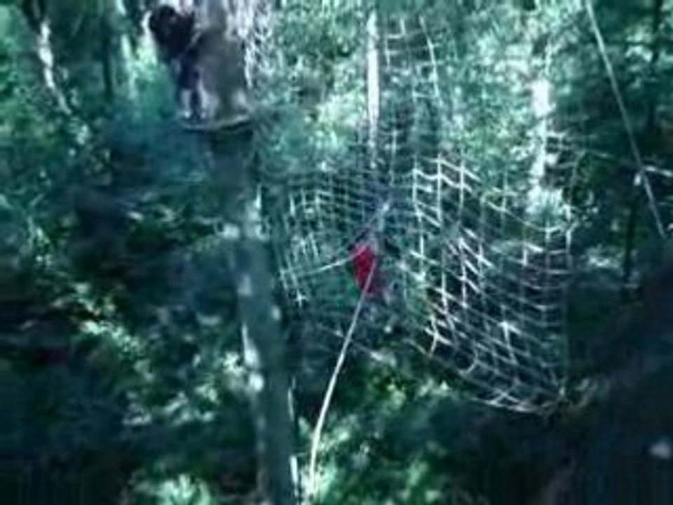 saut frank