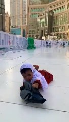 Allah  Chote bache kabotar ka sath...my request please subscribe my channel