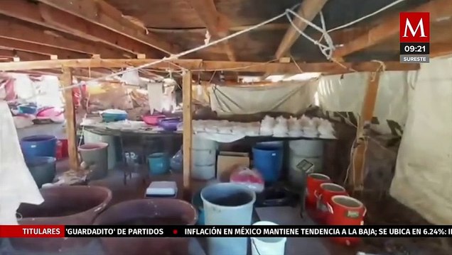 Empresas chinas venden precursores para producir fentanilo a través de redes sociales