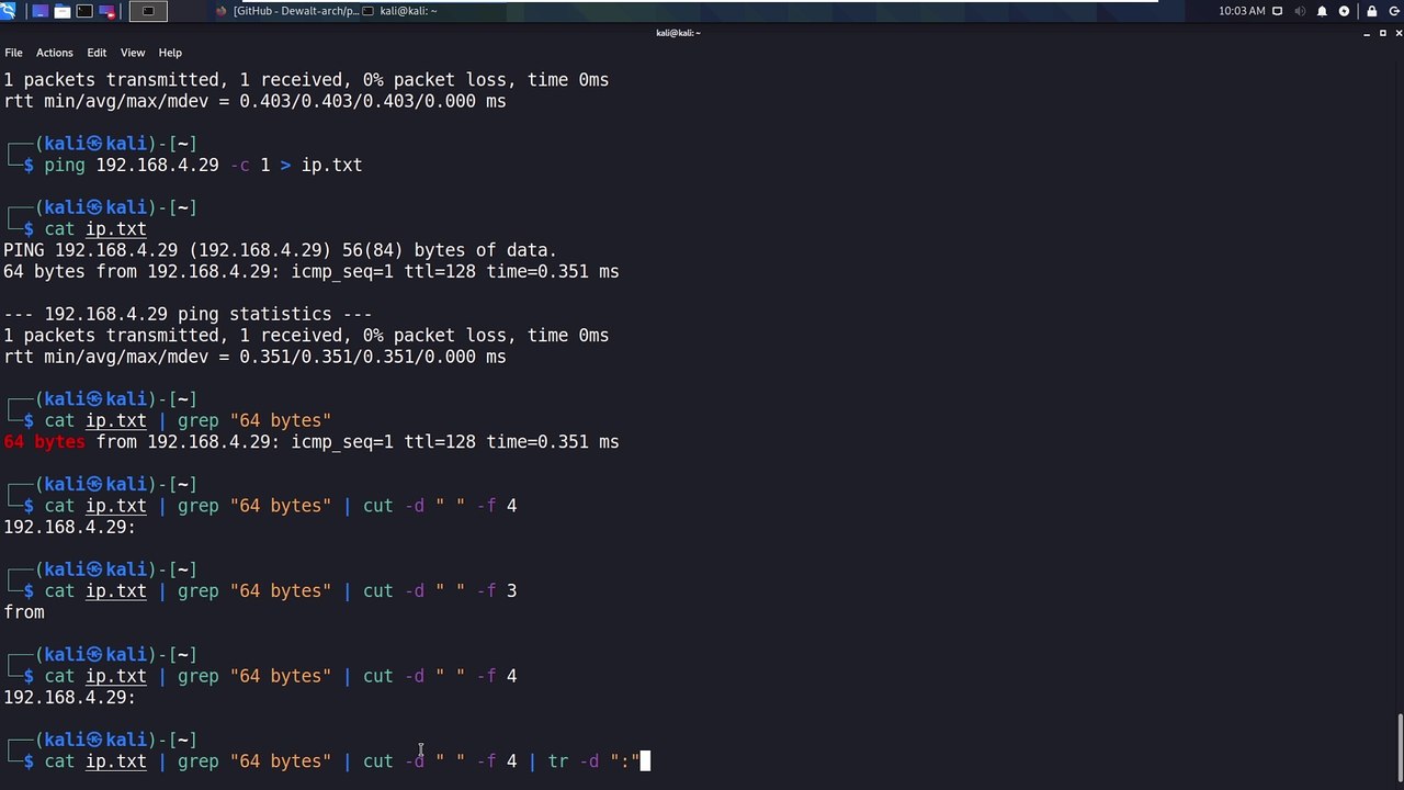 Security Academy Practical Ethical Hacking - Scripting with Bash