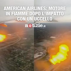American Airlines: motore in fiamme dopo l'impatto con un uccello