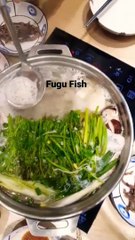 Fugu The Most Dangerous Food In the world