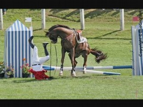 Le cheval et ses chutes