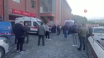 Ağaç kesme kavgası kanlı bitti: 1 ölü, 3 yaralı