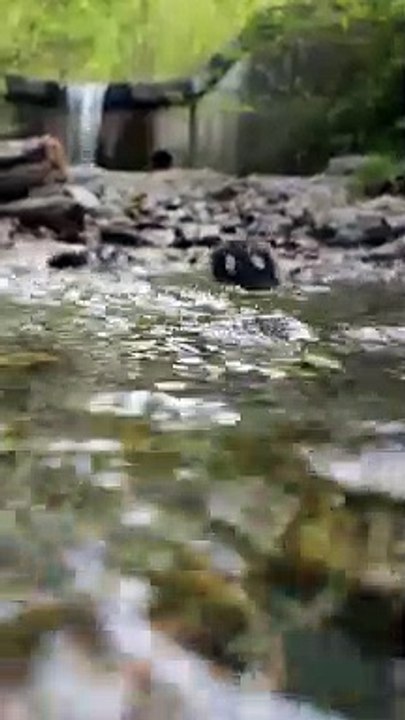 Im Gänsemarsch durch Schwaz I