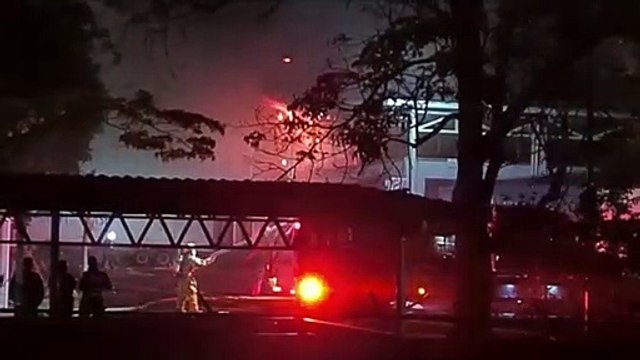 INCENDIO POLLOS REY