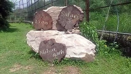 बदनामी का दंश झेल रहा नाहरगढ़ जैविक उद्यान