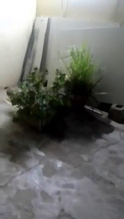 Ishq nahi assan