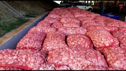 Provopar recebe 10 toneladas de alho e parte dos alimentos é distribuída a municípios da região
