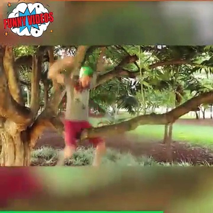 funny video amazing shorts capture in camera