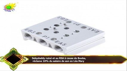 Sebydaddy ruiné et au RSA à cause de Booba,  réclame 10% du salaire de son ex Léa Mary
