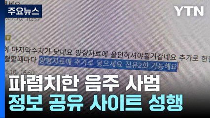"어머니 암 진단서로 집행유예 될까요"...반성 없는 상습 음주운전자들 / YTN