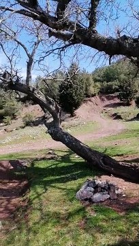 Buca Kaynaklar #buca #izmir #doğa #gezginler #dağ #orman