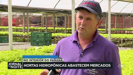 Hortas hidropônicas abastecem mercados no Paraná 24/04/2023 18:12:37