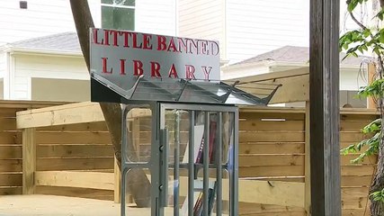 Mini library full of banned books set up in Texas