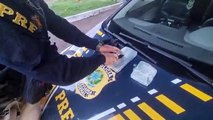 Cocaína e pistola são apreendidas e três veículos recuperados pela PRF em Foz do Iguaçu