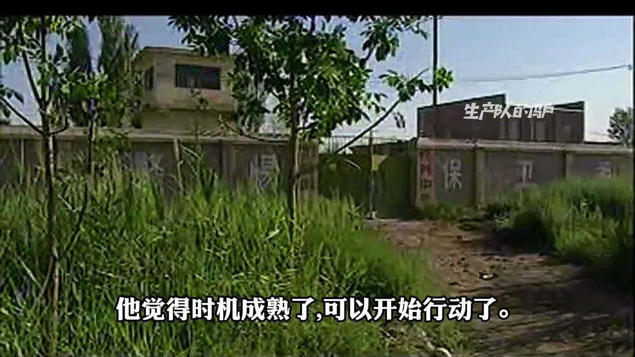 中国刑侦一号案之白宝山（14）