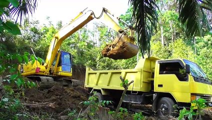 Caterpillar PC 195 LC Excavator Loading Truck Morning To Evening