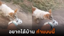 ไม่ธรรมดา สกิลหาบ้านใหม่ของหมาจร เห็นแบบนี้ผลลัพธ์เกินคาด !