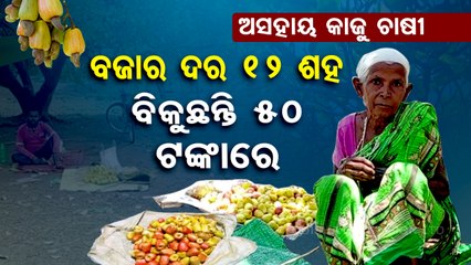 Cashew farmers allege that they are not getting profit for their produce in Odisha’s Khariar
