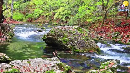 Stress Relief Music for Work and Study