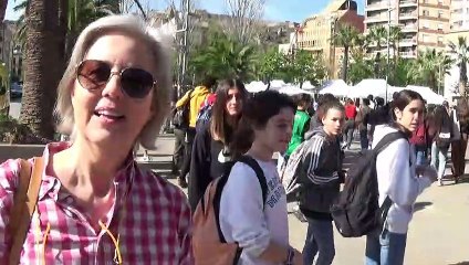 IES Tecnificació, Amposta, Tarragona