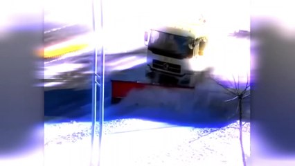 Momentos Increíbles Captados por las Cámaras